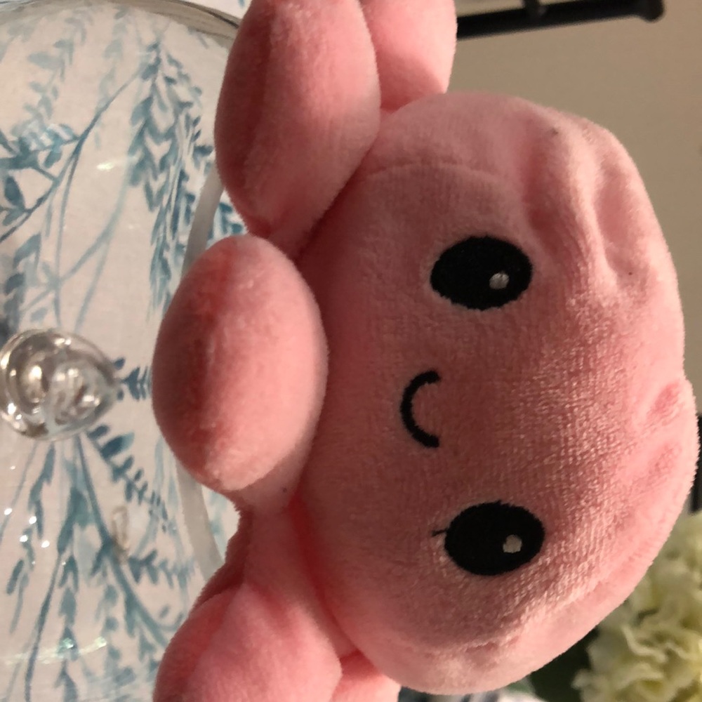 Cute Flip Octopus (VIRAL!)